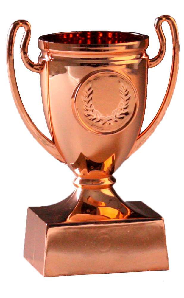 Mini-Pokal bronze H110mm