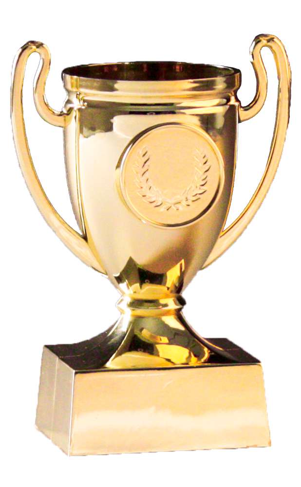Mini-Pokal gold H110mm