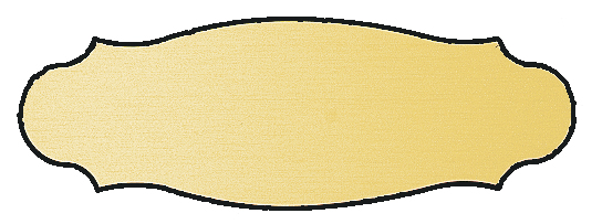 Gravursch. Kunstst. 113x38gold